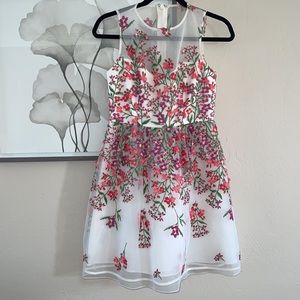 BCBGMaxazaria Embroidered Floral Flare Dress